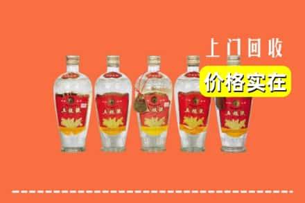 诚信求购:株洲石峰区高价回收老五粮液